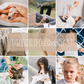 Free Preset III